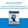 Bessel van der Kolk - Bessel van der Kolk on the Neurobiology and Treatment of Trauma and Attachment