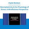 Clyde Boiston - Neuroplasticity & the Physiology of Stress: A Mindfulness Perspective