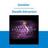 Gambler - Stealth Attraction