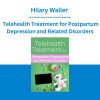 Hilary Waller - Telehealth Treatment for Postpartum Depression and Related Disorders
