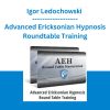 Igor Ledochowski - Advanced Ericksonian Hypnosis Roundtable Training