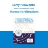 Larry Pesavento - Harmonic Vibrations