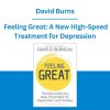 David Burns - Feeling Great: A New High-Speed Treatment for Depression