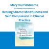 Mary NurrieStearns - Healing Shame: Mindfulness and Self-Compassion in Clinical Practice