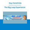 The Big Leap Experience - Gay Hendricks