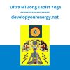 developyourenergy.net - Ultra Mi Zong Taoist Yoga