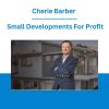 Cherie Barber - Small Developments For Profit