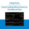 Craig Harris - Forex Trading Advice & Intro to The Natural Flow