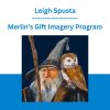 Leigh Spusta - Merlin’s Gift Imagery Program