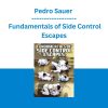 Pedro Sauer - Fundamentals of Side Control Escapes