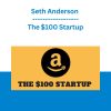 Seth Anderson - The $100 Startup