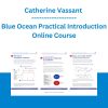 Catherine Vassant - Blue Ocean Practical Introduction Online Course