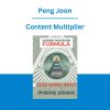 Content Multiplier - Peng Joon