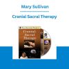 Cranial Sacral Therapy - Mary Sullivan