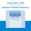 Dyslexia Treatment Made Easy - Penny Stack - PESI
