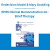 EP95 Clinical Demonstration 14 - Brief Therapy - Redecision Model & Mary Goulding