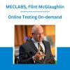 MECLABS, Flint McGlaughlin - Online Testing On-demand