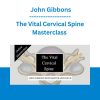 The Vital Cervical Spine Masterclass - John Gibbons