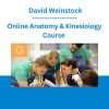 Online Anatomy & Kinesiology Course - David Weinstock