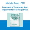 Treatment of Commonly Seen Impairments Following Stroke - Michelle Green - PESI