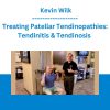 Wilk PTI Online: Treating Patellar Tendinopathies: Tendinitis & Tendinosis - Kevin Wilk