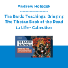Andrew Holecek - The Bardo Teachings: Bringing The Tibetan Book of the Dead to Life - Collection