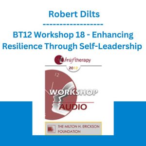 BT12 Workshop 18 - Enhancing Resilience Through Self-Leadership - Robert Dilts