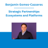 Benjamin Gomes-Casseres - Strategic Partnerships Ecosystems and Platforms