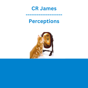 CR James - Perceptions