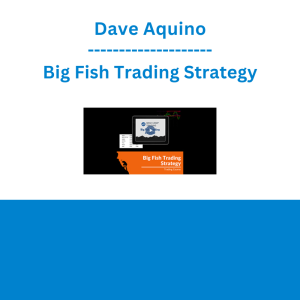 Dave Aquino - Big Fish Trading Strategy