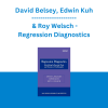 David Belsey, Edwin Kuh & Roy Welsch - Regression Diagnostics: Identifying Influential Data and Sources of Collinearity