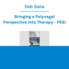 Deb Dana - Bringing a Polyvagal Perspective into Therapy: How to Safely Navigate Emotional Storms - PESI
