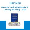 Dynamic Trading Multimedia E-Learning Workshop - 6 CD - Robert Miner