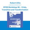 EP09 Workshop 36 - Crisis, Transition and Transformation - Robert Dilts