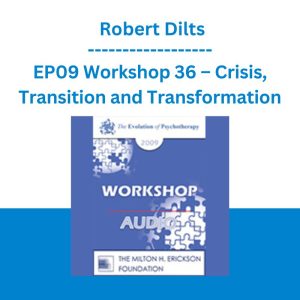 EP09 Workshop 36 - Crisis, Transition and Transformation - Robert Dilts