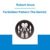 Forbidden Pattern The Gemini - Robert Anue