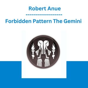 Forbidden Pattern The Gemini - Robert Anue
