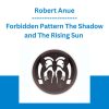 Forbidden Pattern The Shadow and The Rising Sun - Robert Anue