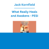 Jack Kornfield - What Really Heals and Awakens - PESI