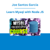 Joe Santos Garcia - Learn Mysql with Node JS