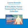 Leanne Domash & Terry Marks-Tarlow - Transcending Trauma: Art, Imagination & Spirituality - Collection