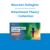 Maureen Gallagher - Attachment Theory - Collection