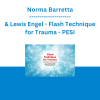 Philip Manfield & Lewis Engel - Flash Technique for Trauma: Rapid Trauma Processing for Clinicians Using EMDR, CPT, DBT, CBT, and IFS - PESI
