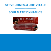 STEVE JONES & JOE VITALE - SOULMATE DYNAMICS