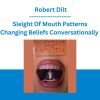 Sleight Of Mouth Patterns Changing Beliefs Conversationally - Robert Dilt