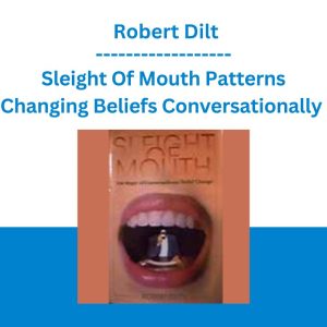 Sleight Of Mouth Patterns Changing Beliefs Conversationally - Robert Dilt