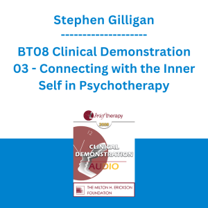 Stephen Gilligan - BT08 Clinical Demonstration 03 - Connecting with the Inner Self in Psychotherapy