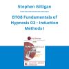 Stephen Gilligan - BT08 Fundamentals of Hypnosis 03 - Induction Methods I