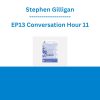 Stephen Gilligan - EP13 Conversation Hour 11