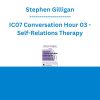 Stephen Gilligan - IC07 Conversation Hour 03 - Self-Relations Therapy